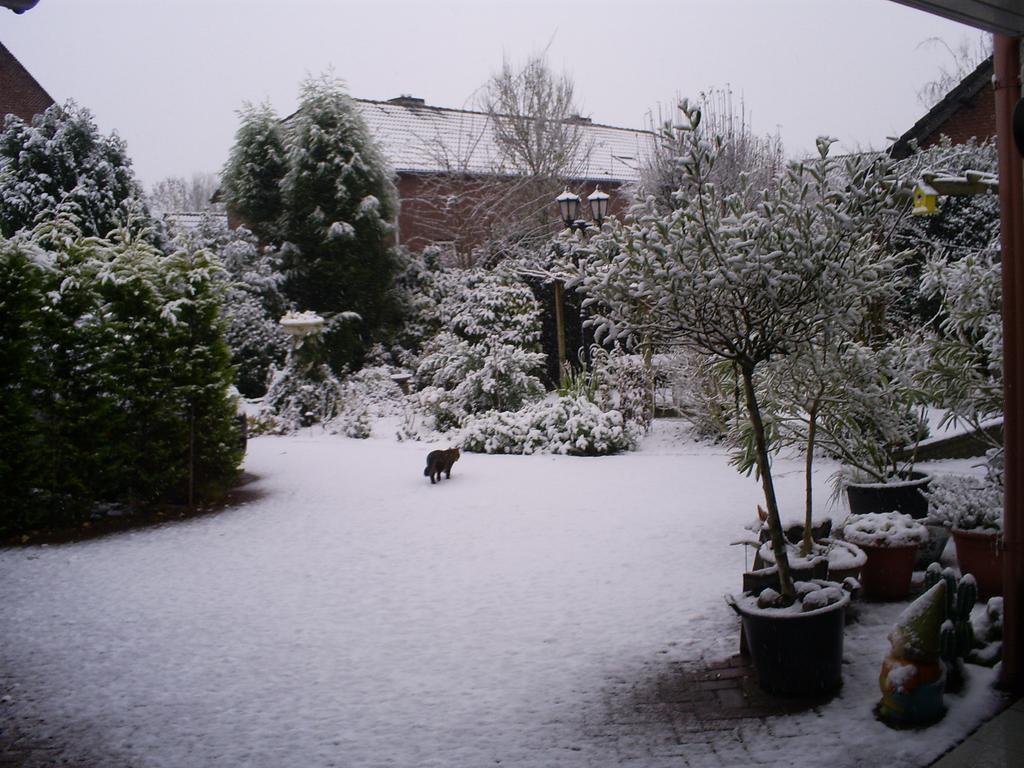 Bed And Breakfast Azzurro Bokhoven Buitenkant foto